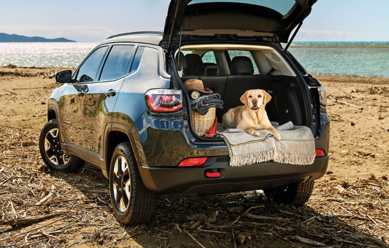 2020 Jeep Compass 1.6 Multijet 120 HP Longitude Manuel
