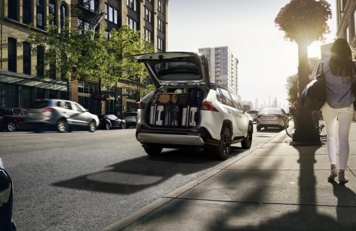 2019 Toyota RAV4 2.5 222 HP Passion e-CVT